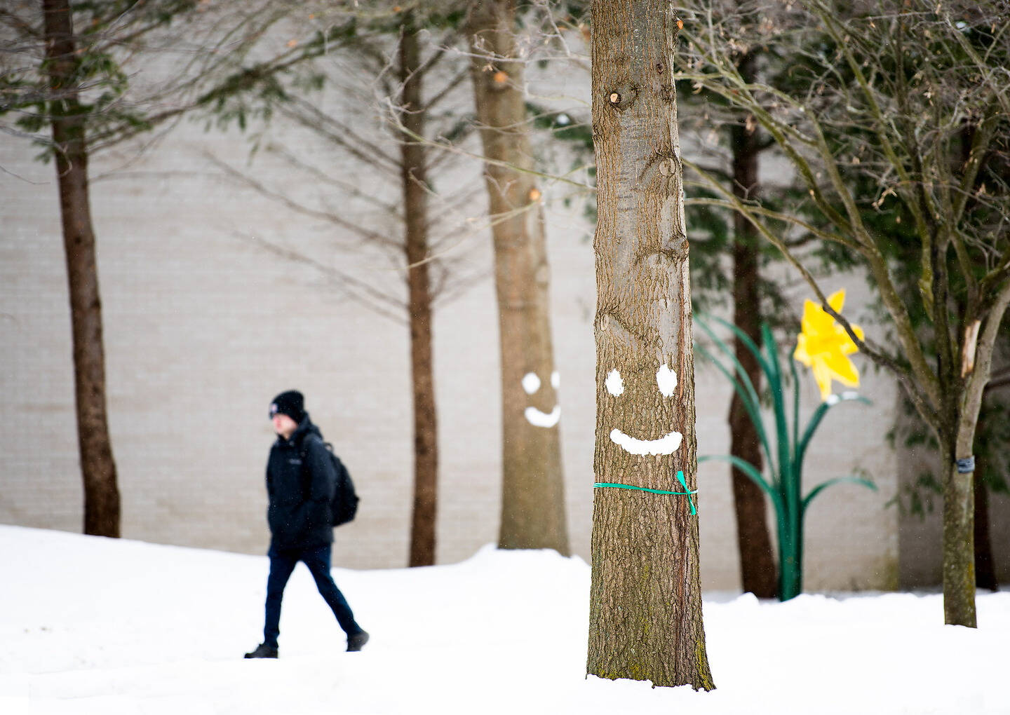 A person walks through a snowy landscape past trees with painted smiling faces and a yellow daffodil sculpture.